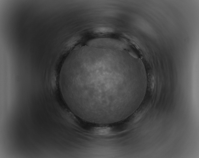 X0000095120266200712141142