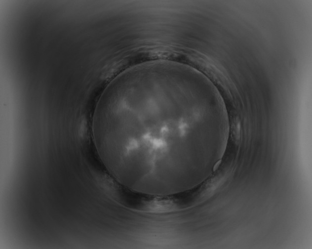 X0000095120270200712141142