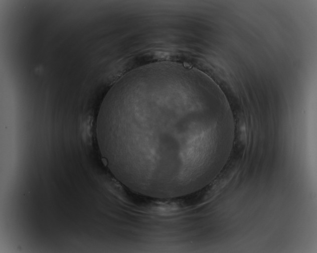 X0000095120275200712141142