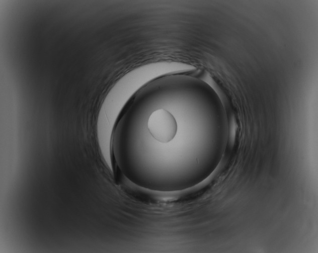 X0000095120276200712141142