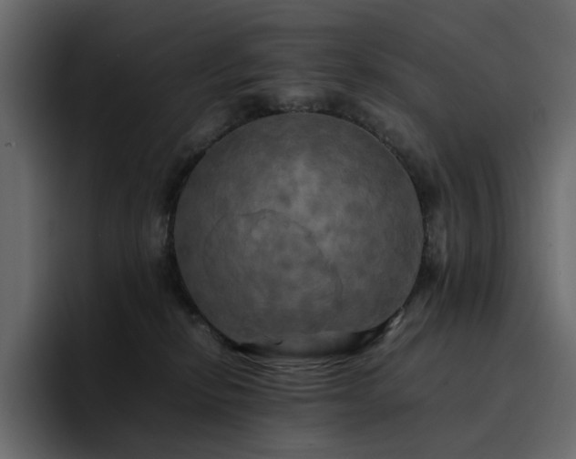 X0000095120278200712141142