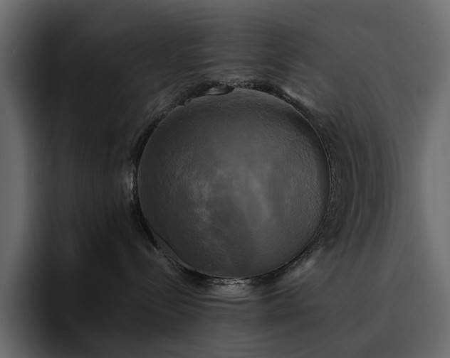 X0000095120288200712141142