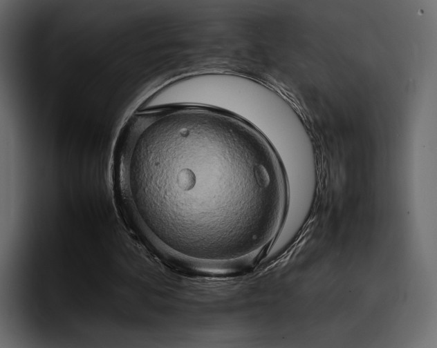 X0000095120292200712141142