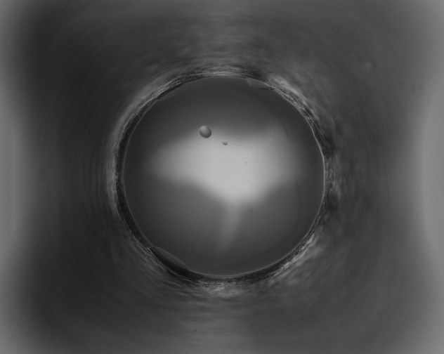 X0000095120293200712141142