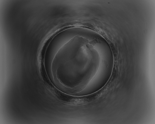 X0000095120295200712141142