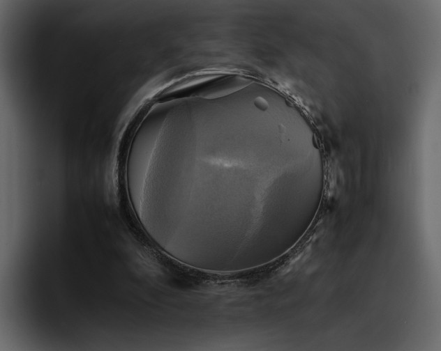 X0000095120296200712141142