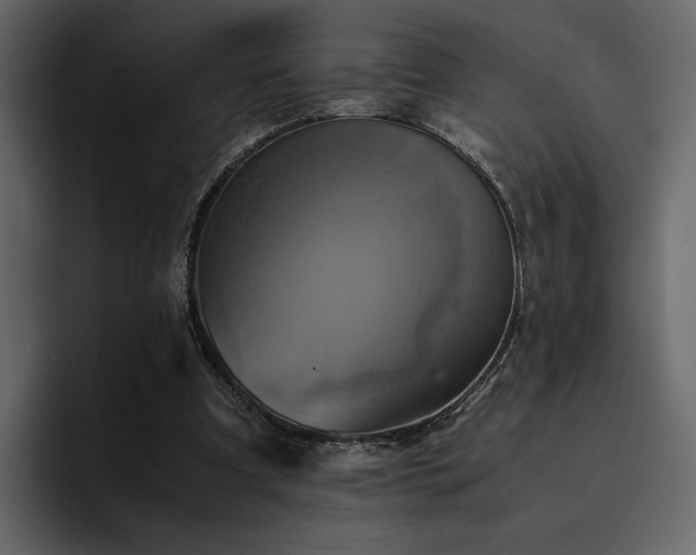 X0000095120297200712141142