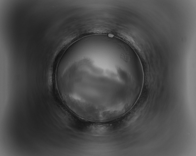 X0000095120299200712141142