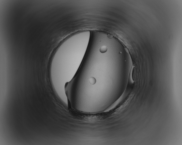 X0000095120301200712141142