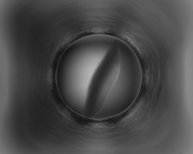 X0000095120303200712141141