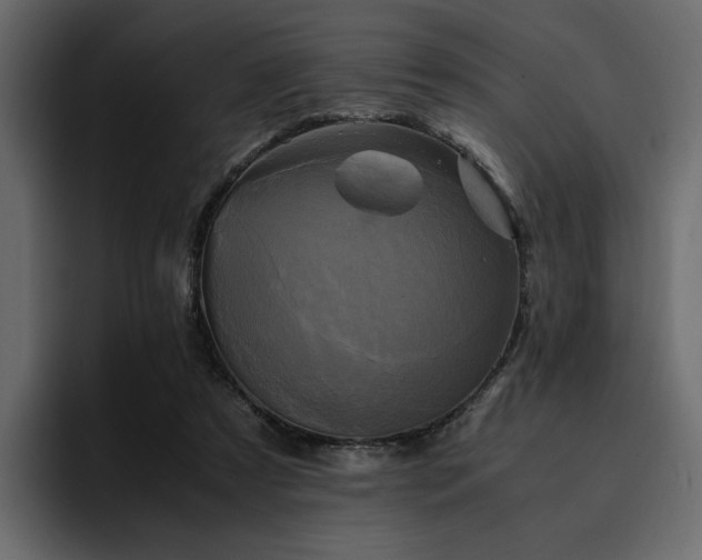 X0000095120305200712141141