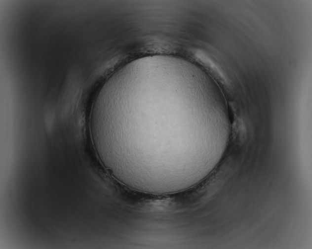 X0000095120306200712141141