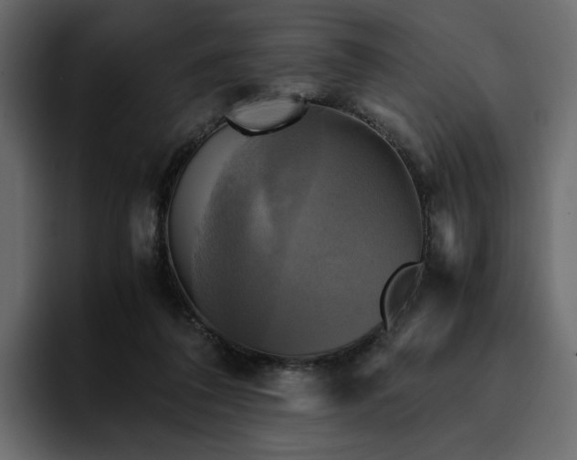 X0000095120308200712141141