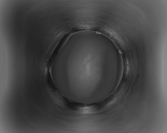 X0000095120312200712141141