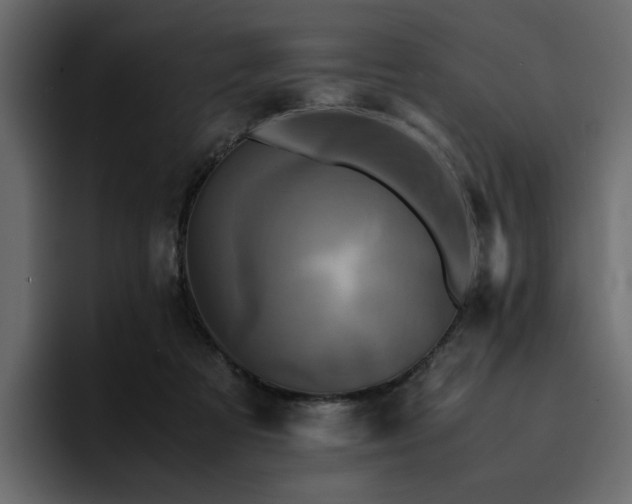 X0000095120313200712141141