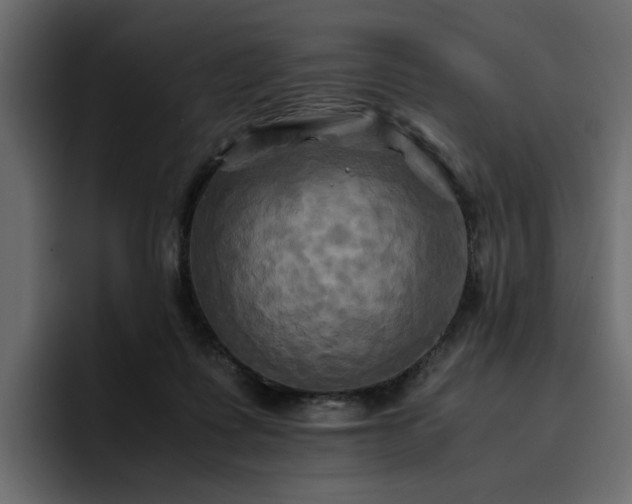 X0000095120315200712141141