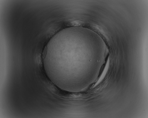 X0000095120317200712141141