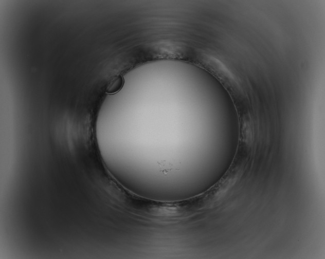 X0000095120318200712141141