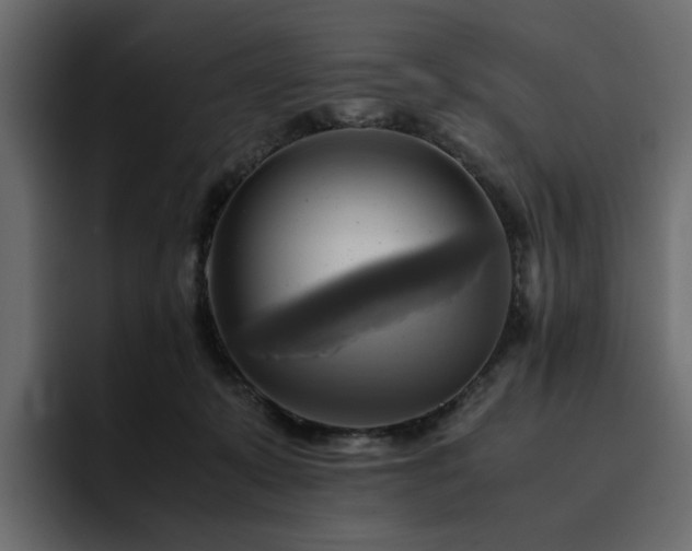 X0000095120319200712141141