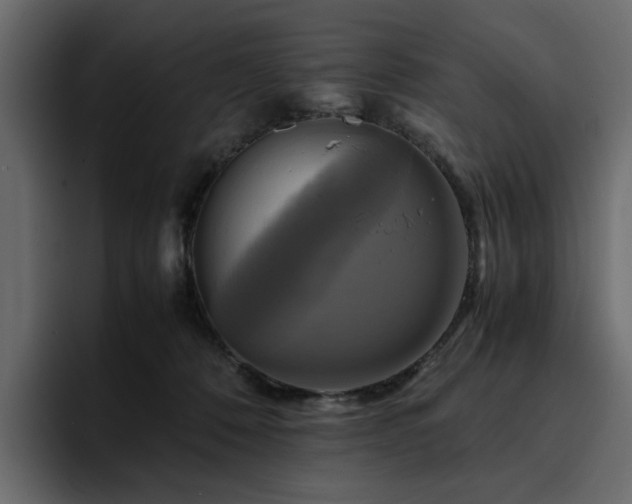 X0000095120320200712141141