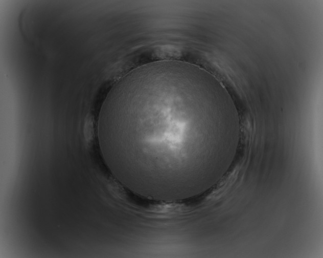 X0000095120323200712141141