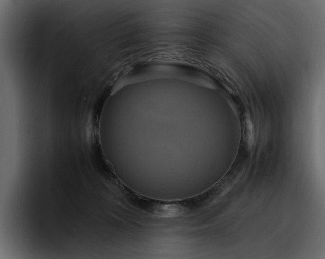 X0000095120324200712141141