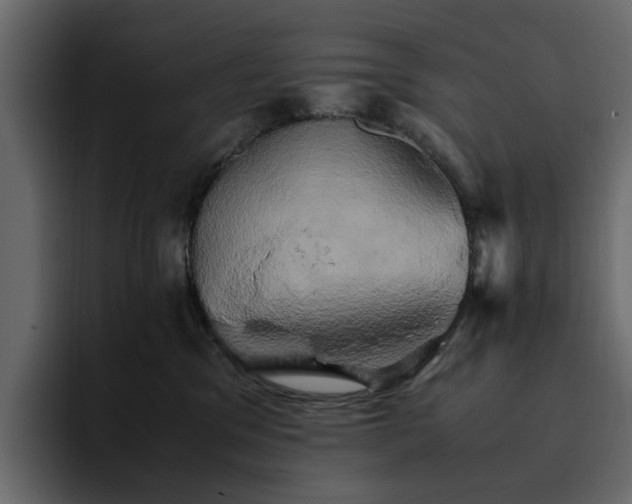 X0000095120329200712141141