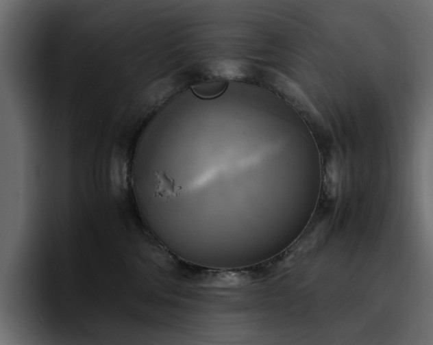 X0000095120330200712141141