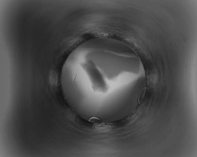 X0000095120331200712141141