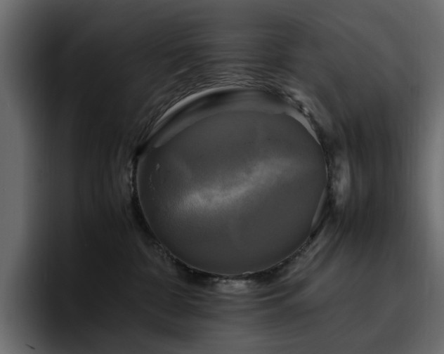 X0000095120332200712141141