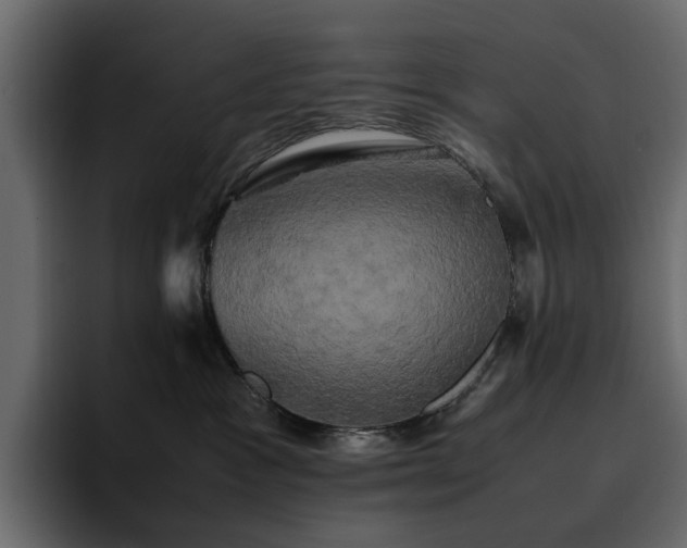 X0000095120333200712141141