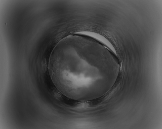 X0000095120335200712141141