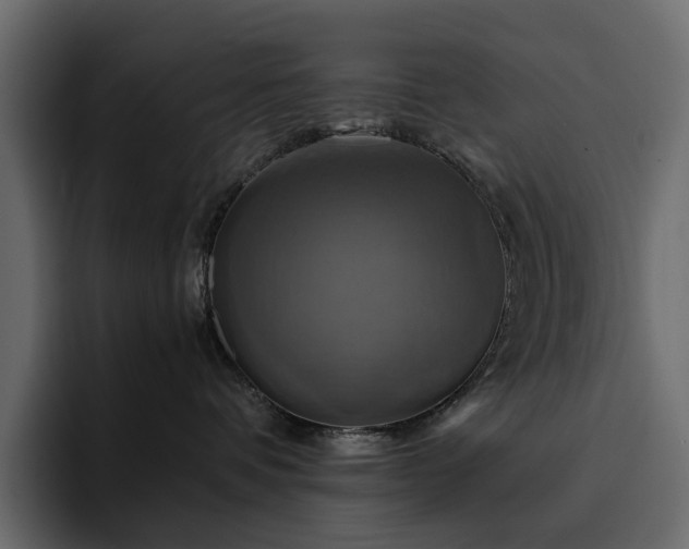 X0000095120336200712141141