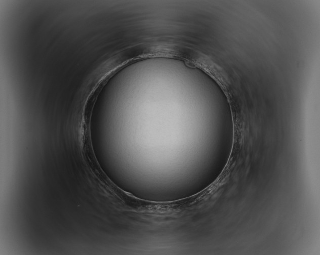 X0000095120338200712141140