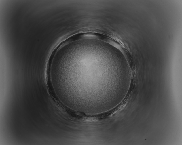 X0000095120340200712141140