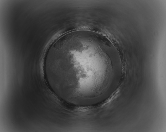 X0000095120341200712141140