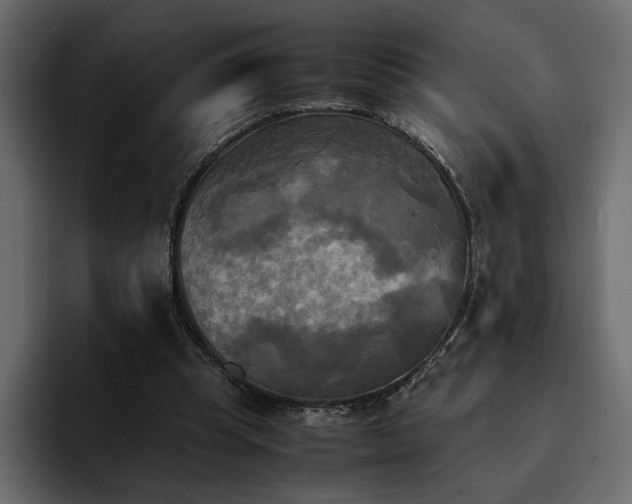 X0000095120345200712141141