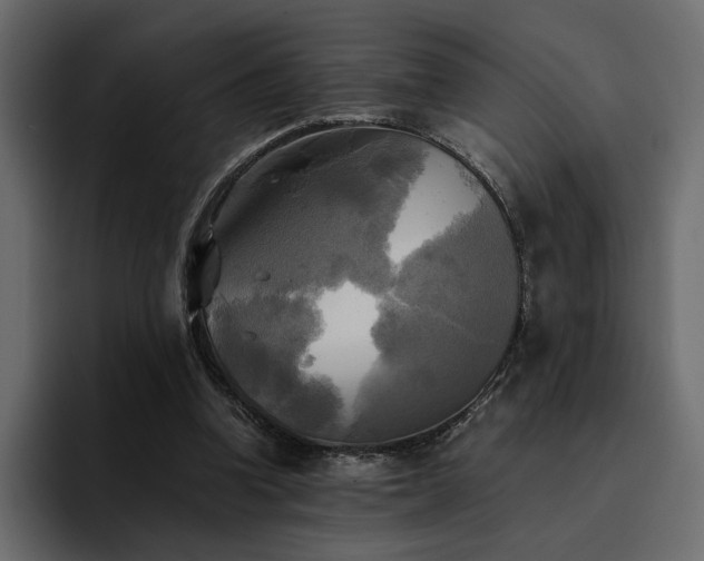 X0000095120346200712141141