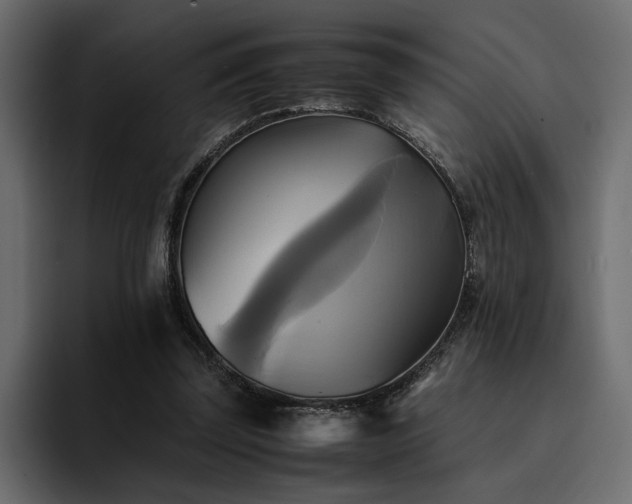 X0000095120347200712141141