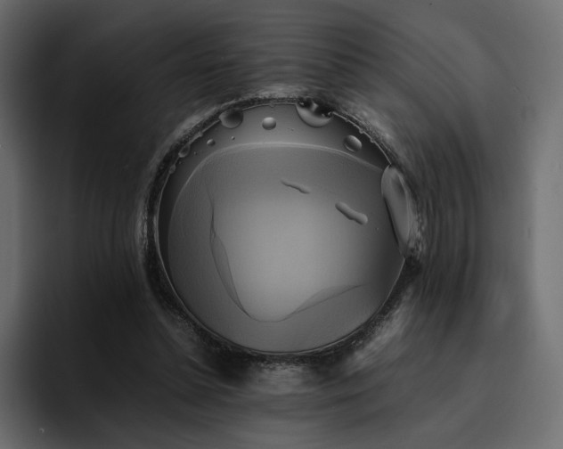 X0000095120348200712141141