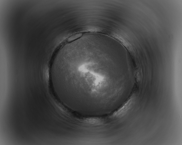 X0000095120350200712141141