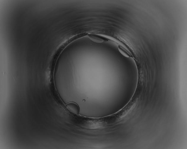 X0000095120351200712141141