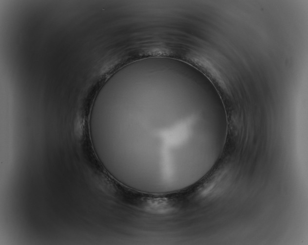 X0000095120355200712141141