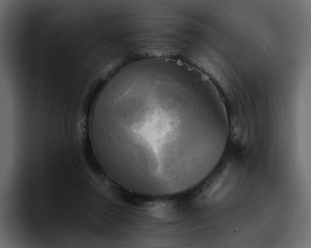 X0000095120356200712141141