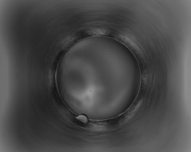 X0000095120359200712141141