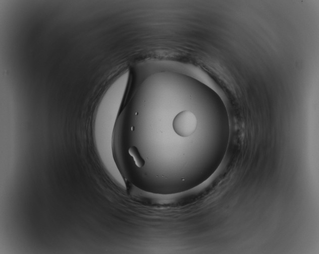 X0000095120360200712141141