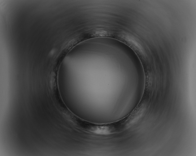 X0000095120361200712141141