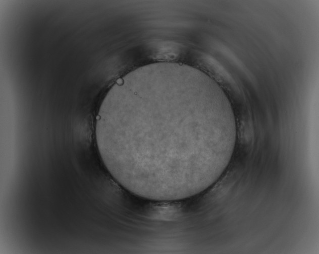 X0000095120370200712141141