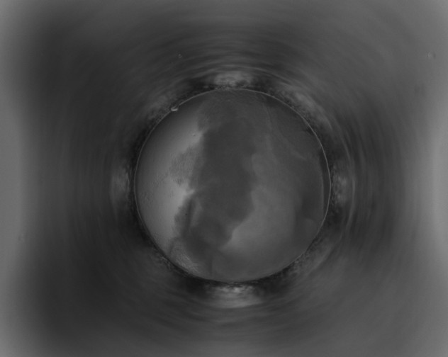 X0000095120375200712141141