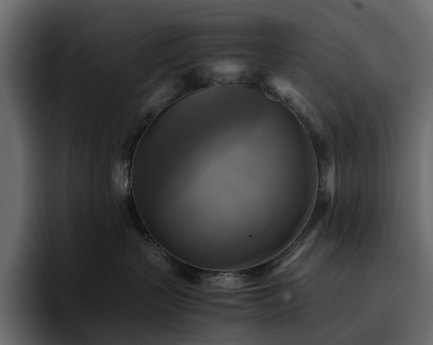 X0000095120383200712141141